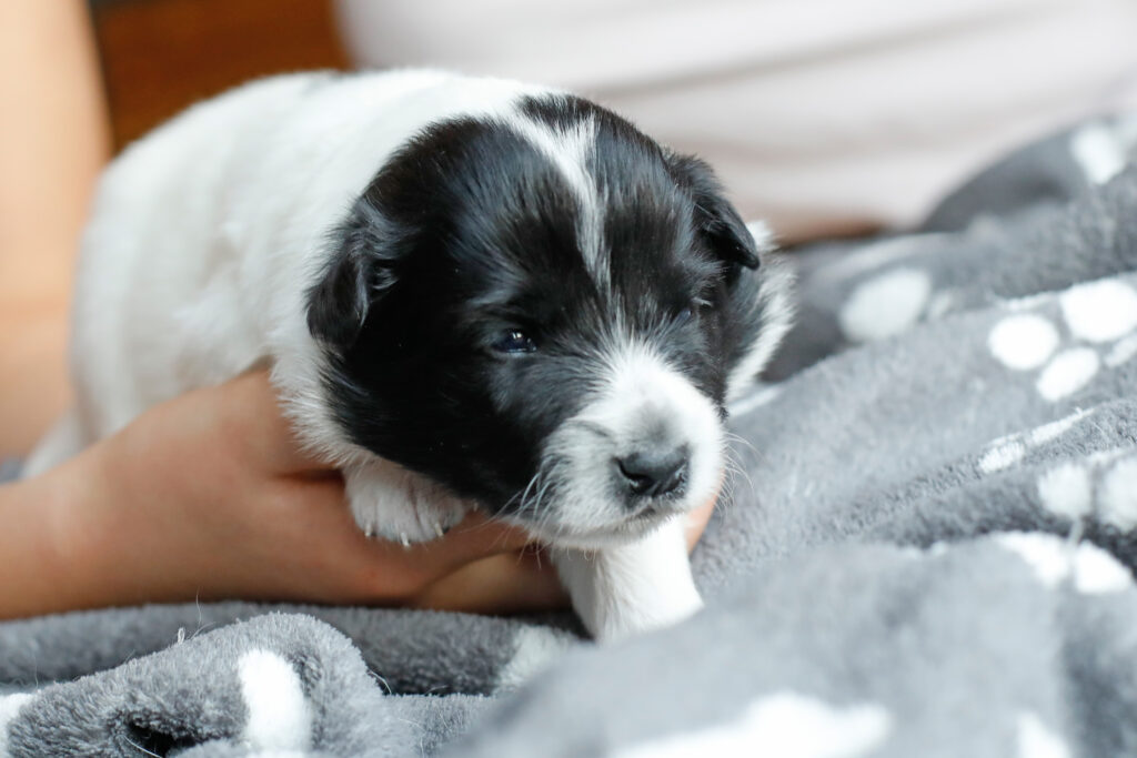 Dieses Bild hat ein leeres Alt-Attribut. Der Dateiname ist 202501112_01-1024x683.jpg